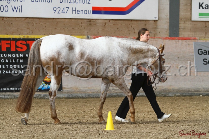 24-ApHC HIH_006.jpg